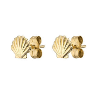 Ocean Drive Shell Stud